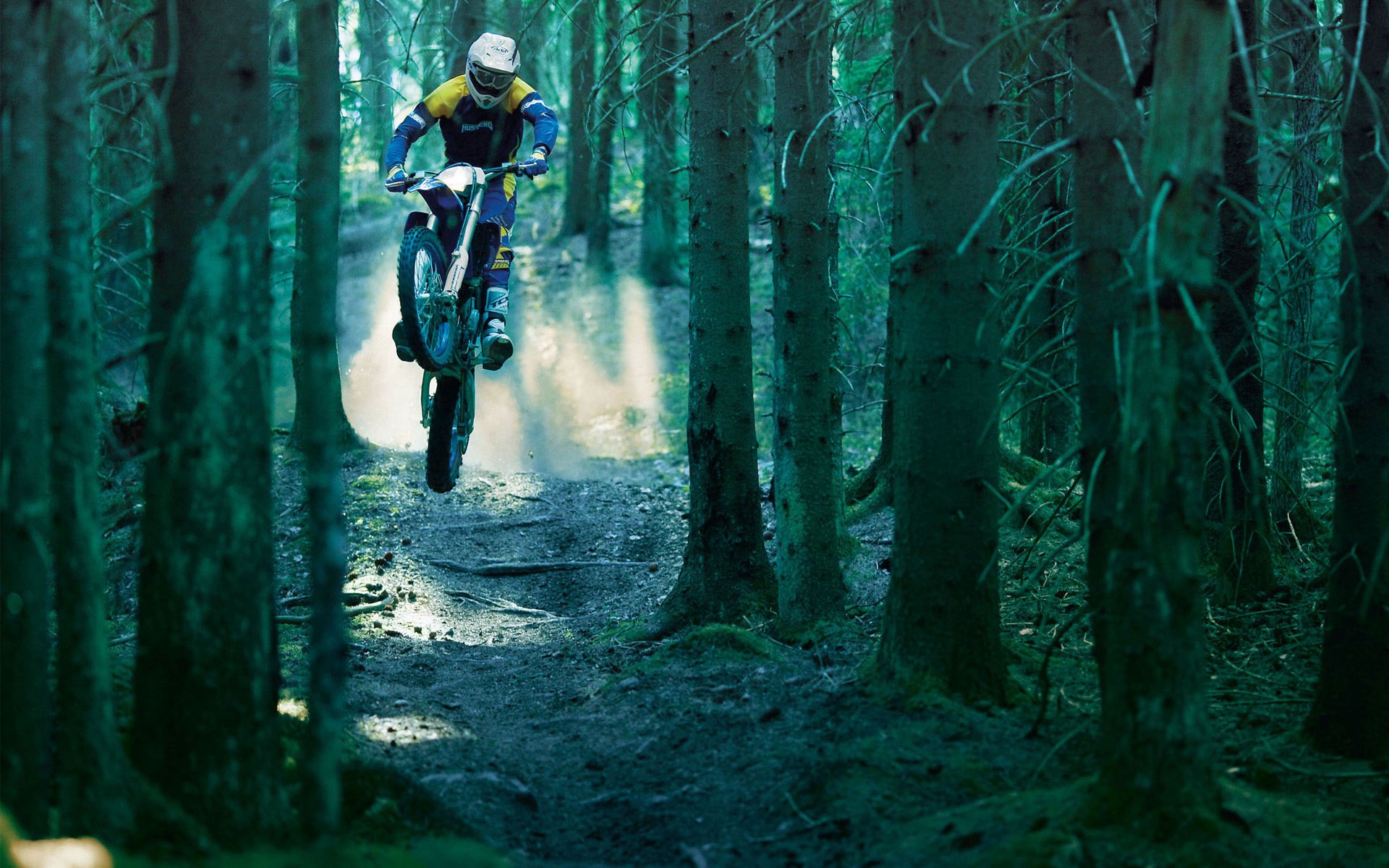 motorcyclist estremo moto foresta alberi velocità salto oscurità raggi di luce prodezza bici