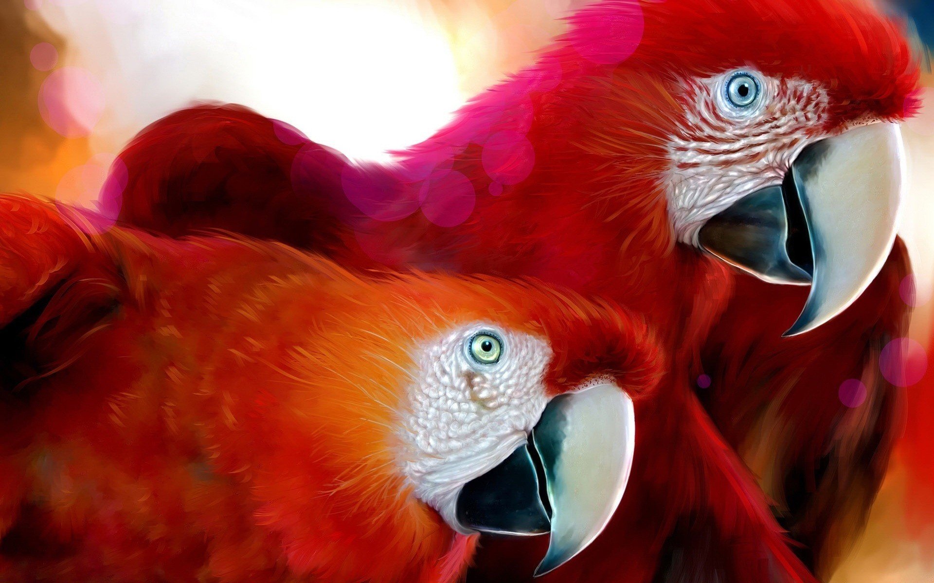 plumas rojas picos blancos loros guacamayos aves animales vista ojos emplumados