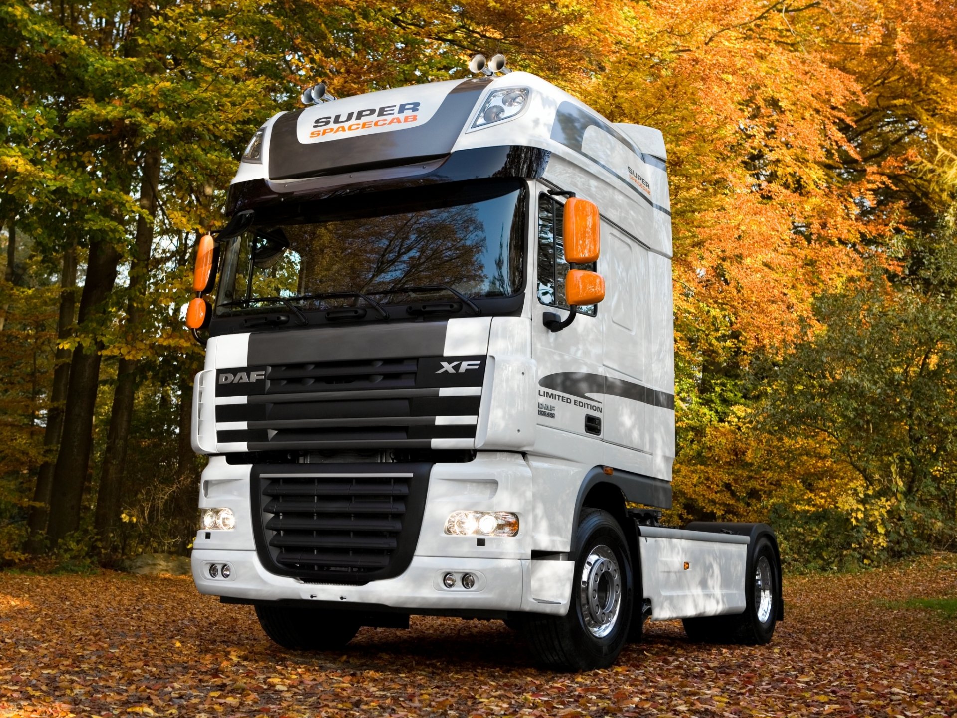 daf herbst blätter xf