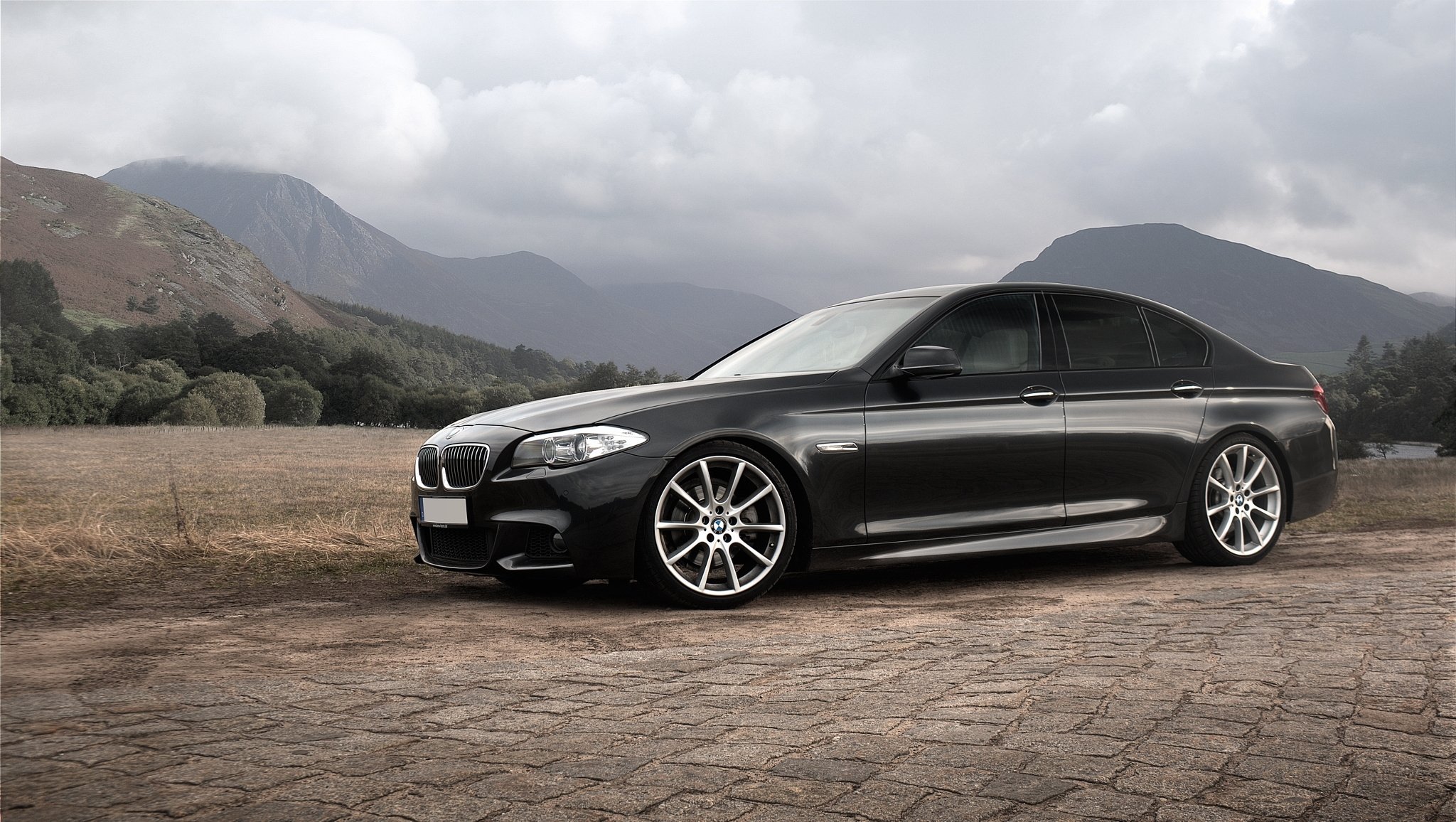 bmw serie 5 f10