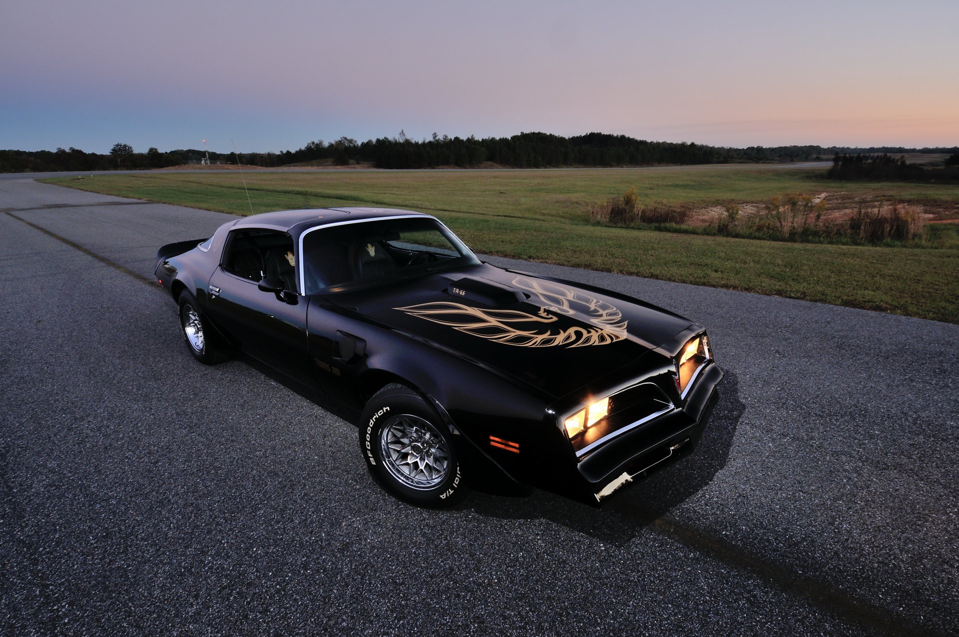 1978 pontiac feuervogel trans am ws6 t-top pontiac firebird