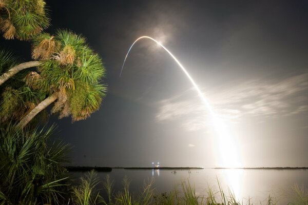 Palm trees at night on the seashore, illuminated by a laser line