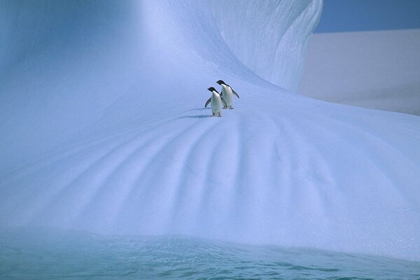 La fraîcheur Arctique sans fin blanc-bleu