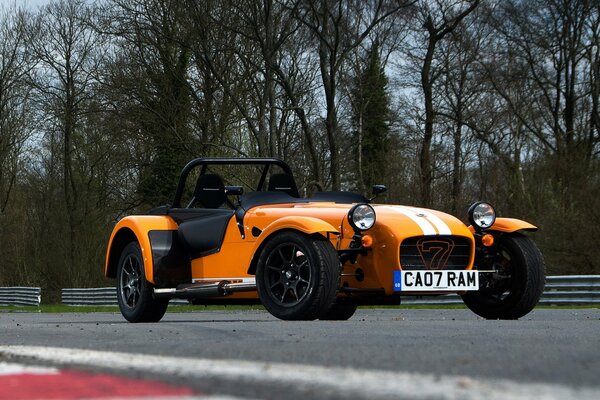 Racing car on the background of trees