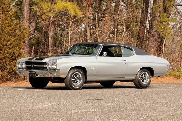 Chevrolet coupe side view on the background of autumn trees