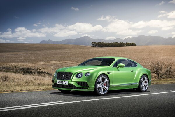 Voiture de luxe vert clair