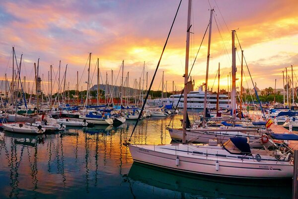 Aube sur le quai, au milieu des yachts