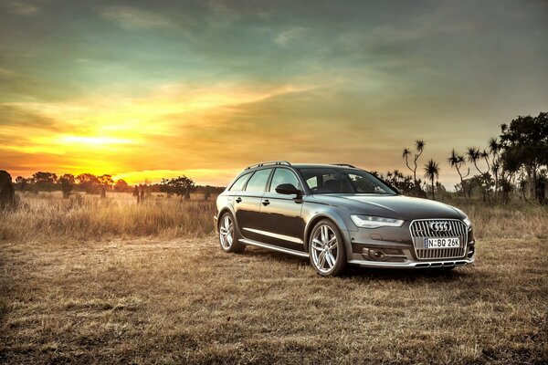 En el campo se encuentra el vagón Audi qyattro