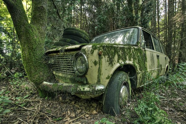 Vieja máquina rusa olvidada en el bosque