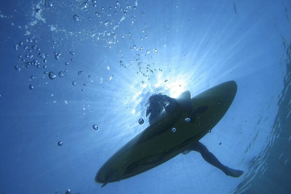 Underwater, view from the bottom of the ocean