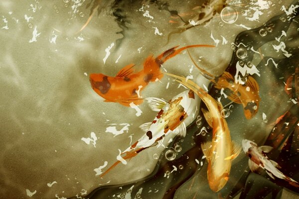 Golden waterfowl under water