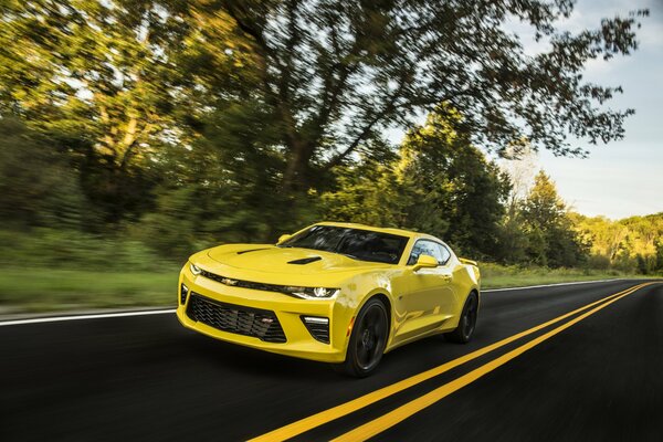 Ein Chevrolet Camaro in derselben Farbe auf einer Landstraße