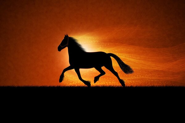 Cavallo che corre al bellissimo tramonto