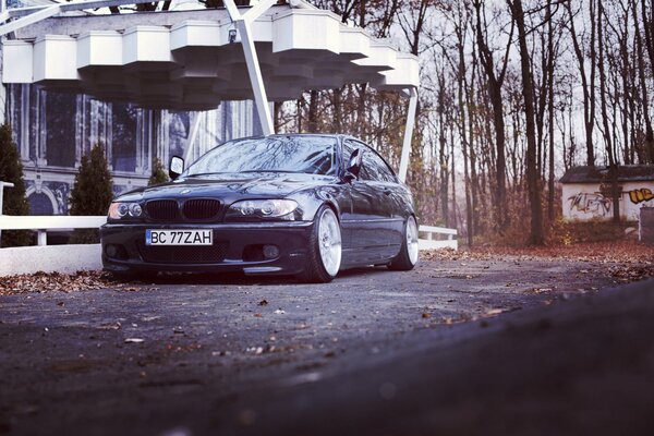 Voiture noire sur fond d arbres