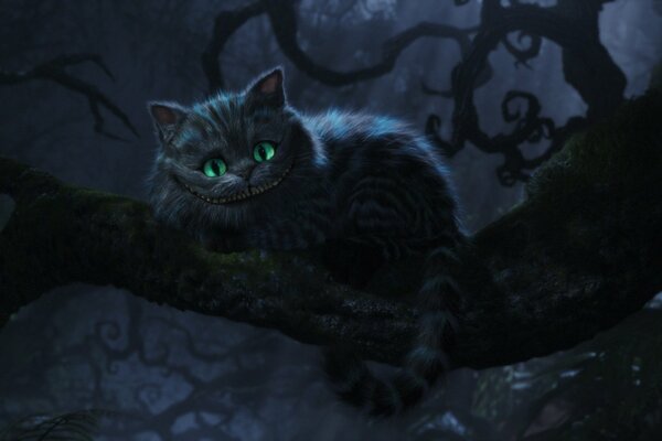 Cheshire smile cradles songs in the night forest