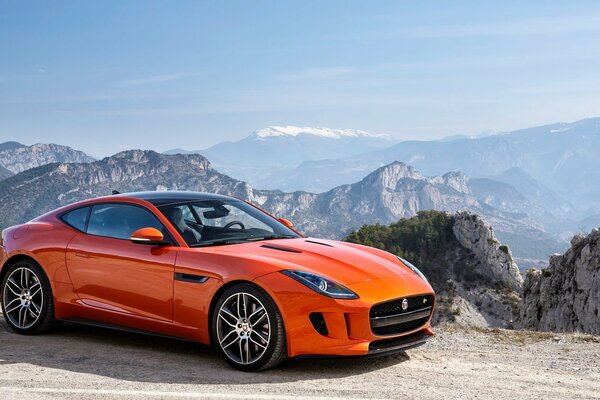 Jaguar orange sur fond de montagnes