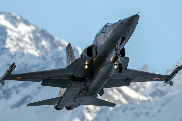 Black fighter in the mountains