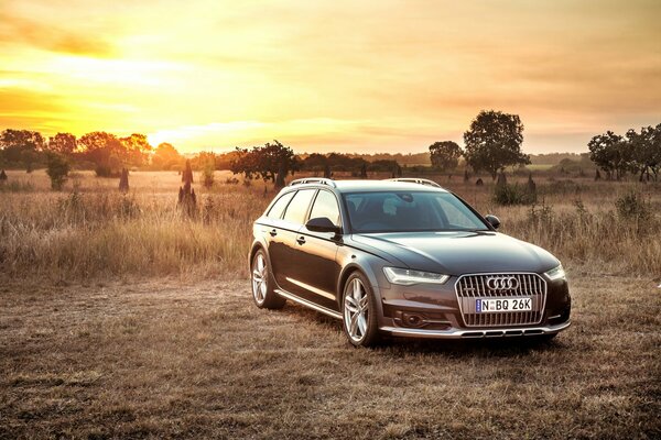 Audi noire 2015 au coucher du soleil dans la savane