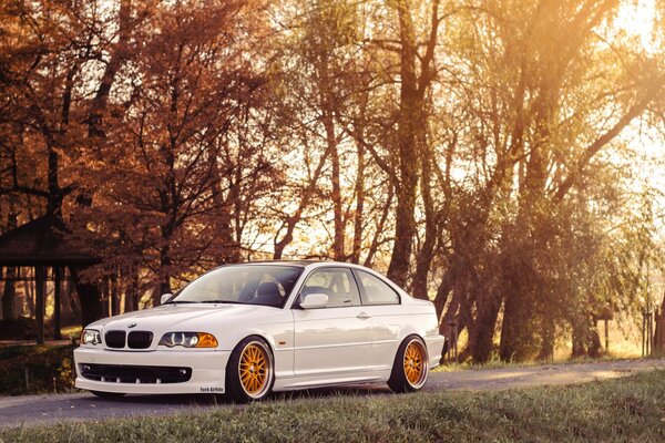 White BMV coupe on a rural road