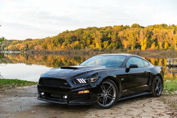 Ford Mustang en el fondo de las hojas amarillas