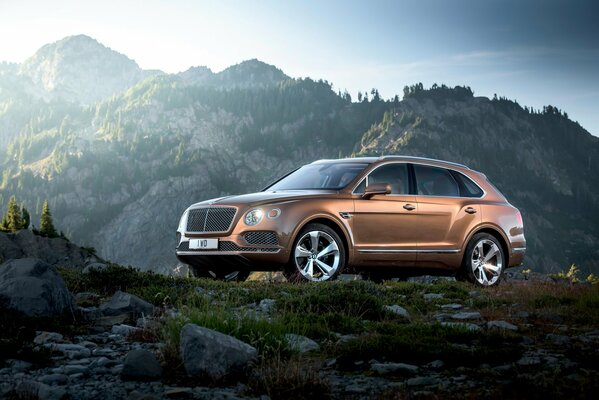 Brun Bentley debout sur la montagne