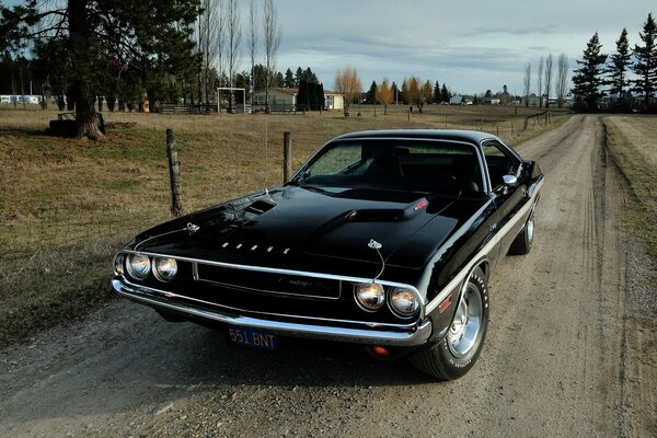 Fond Challenger apprêt noir