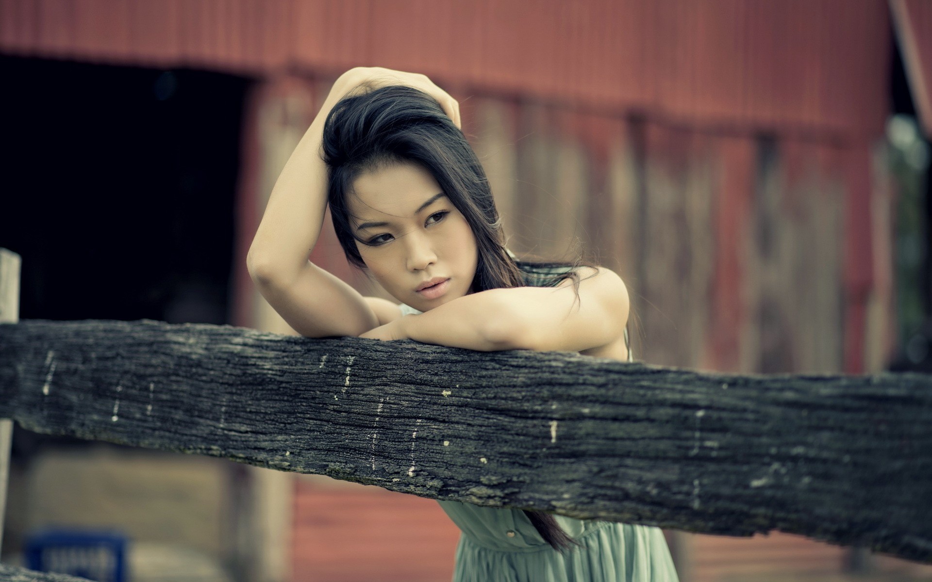 brunette femme gris fille asiatique