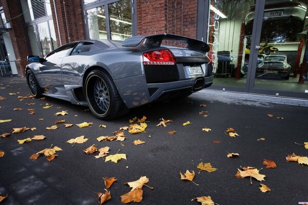 Racing car on asphalt with yellow maple leaves