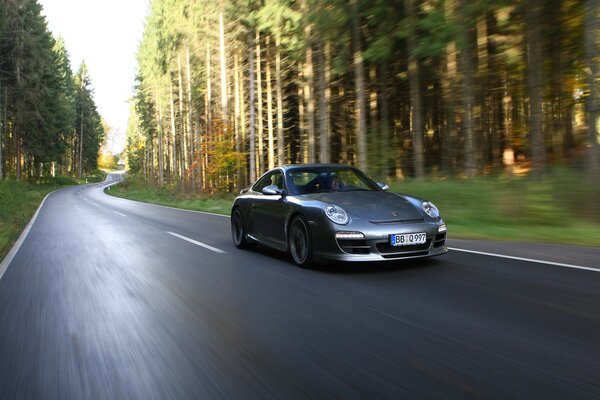 Ruch Porsche na leśnej drodze