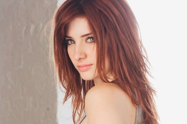 Ritratto di sexy bruna susan coffey