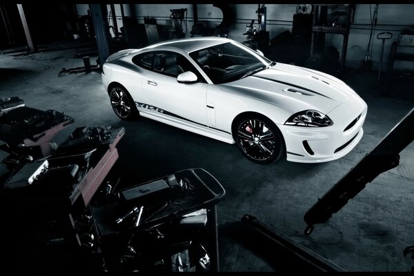 Snow-white car on a gray background