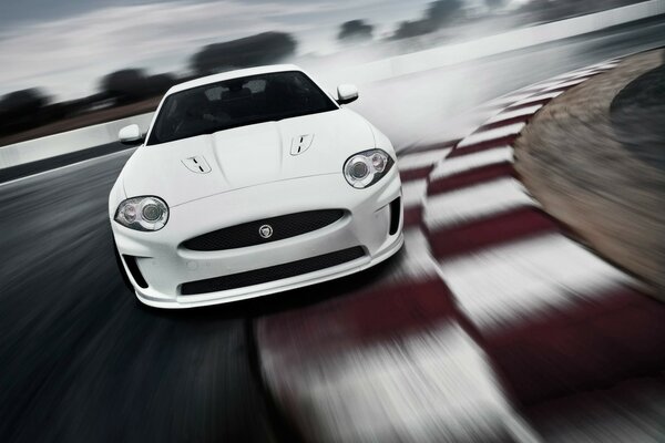 White Jaguar XKR special editions of speed