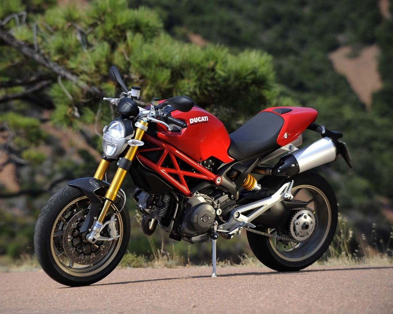 red ducati nature