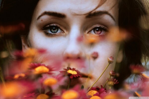 Fille avec des yeux différents en couleurs