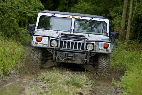 Hummer chevauche la route boueuse de la forêt