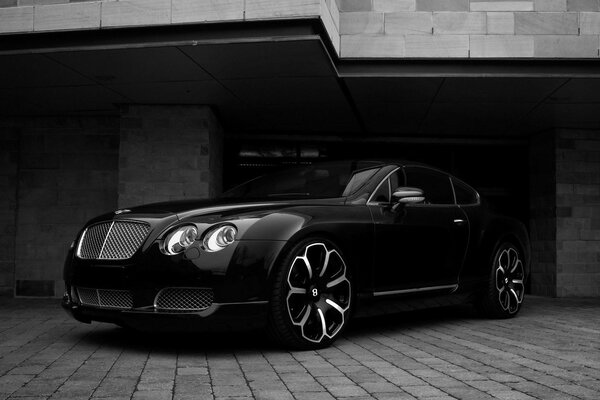 Bentley en blanco y negro entre paredes de ladrillo