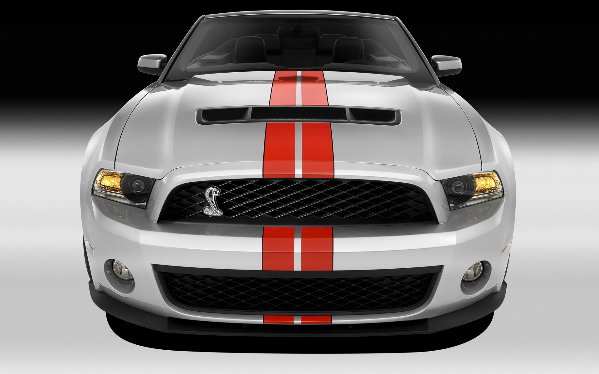 shelby gt500 blanco rayas rojas