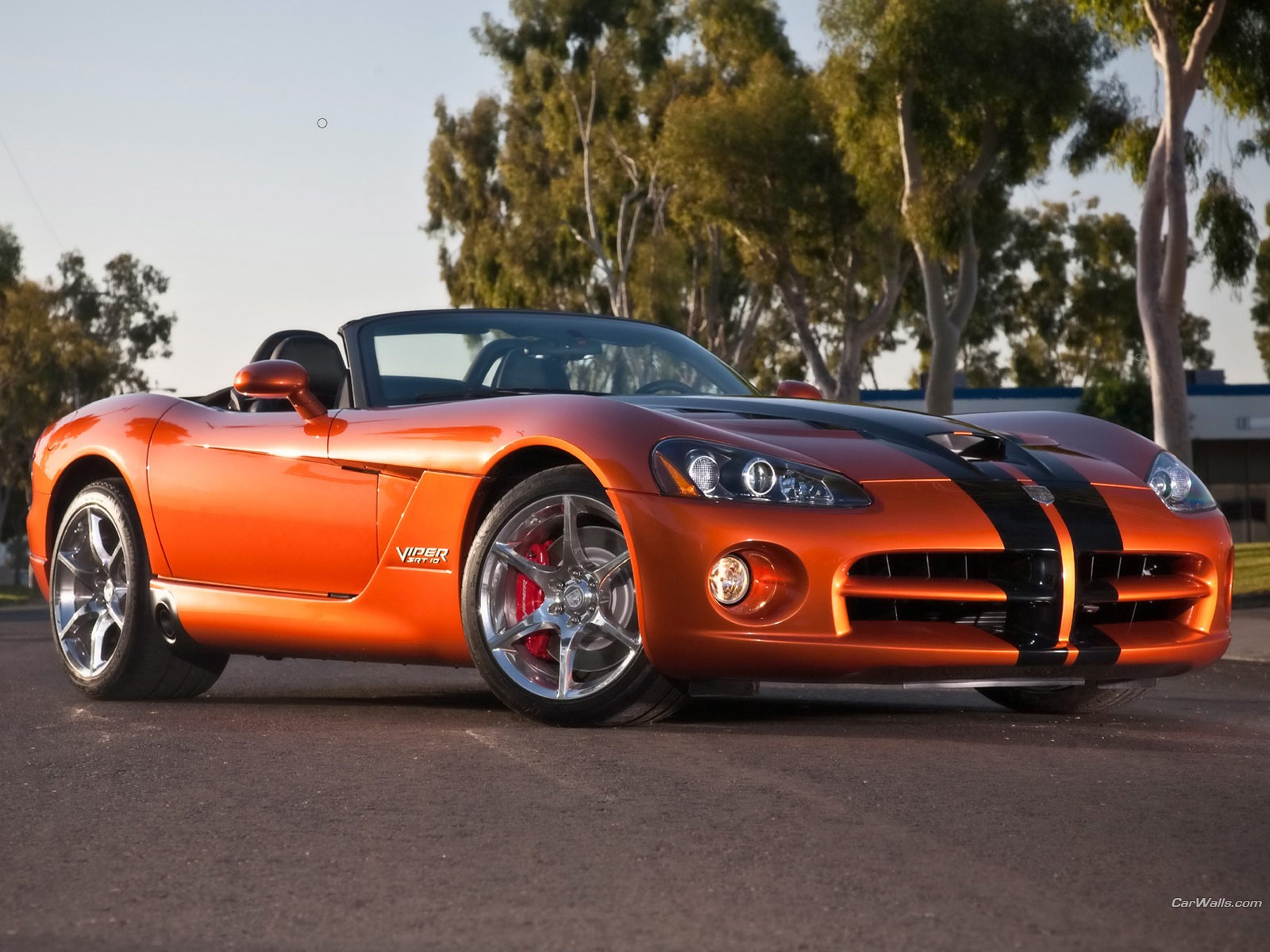 ausweichen viper dodge