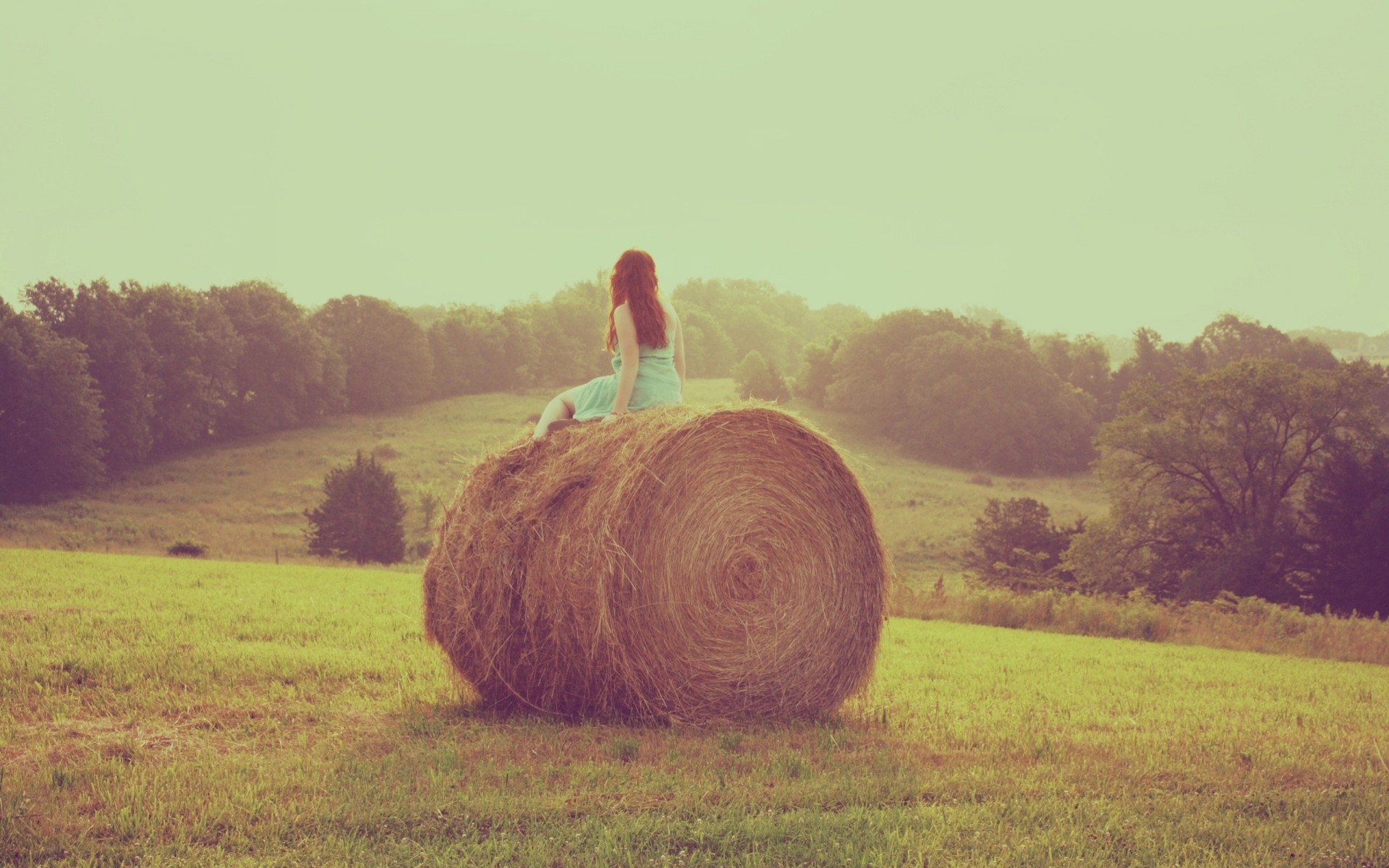 fieno erba ragazza natura cielo