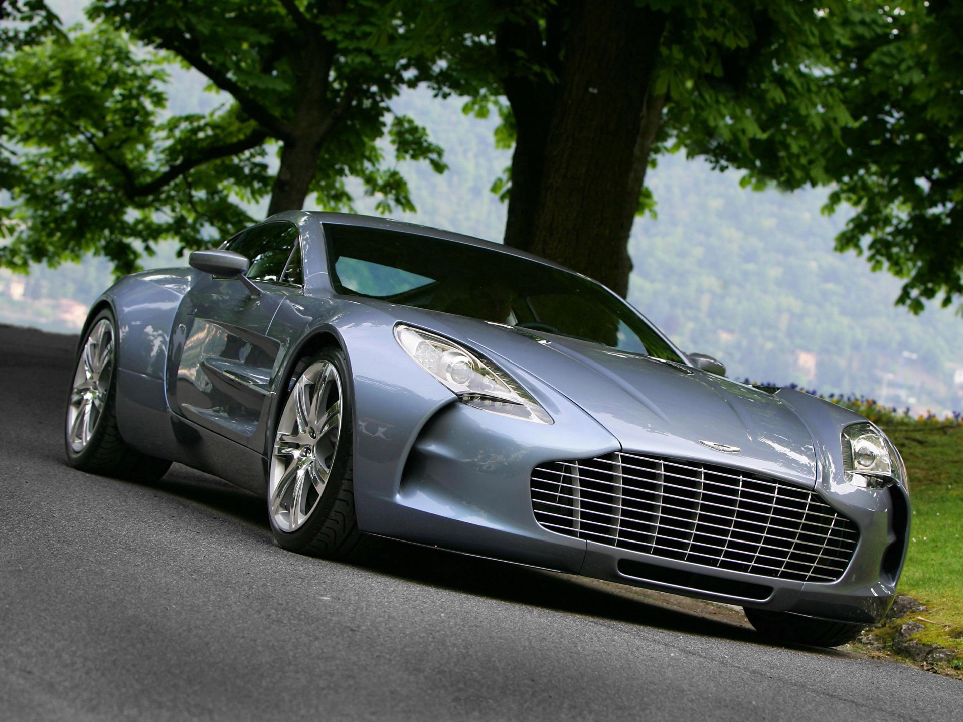 aston martin nuevo árbol hojas verde carretera