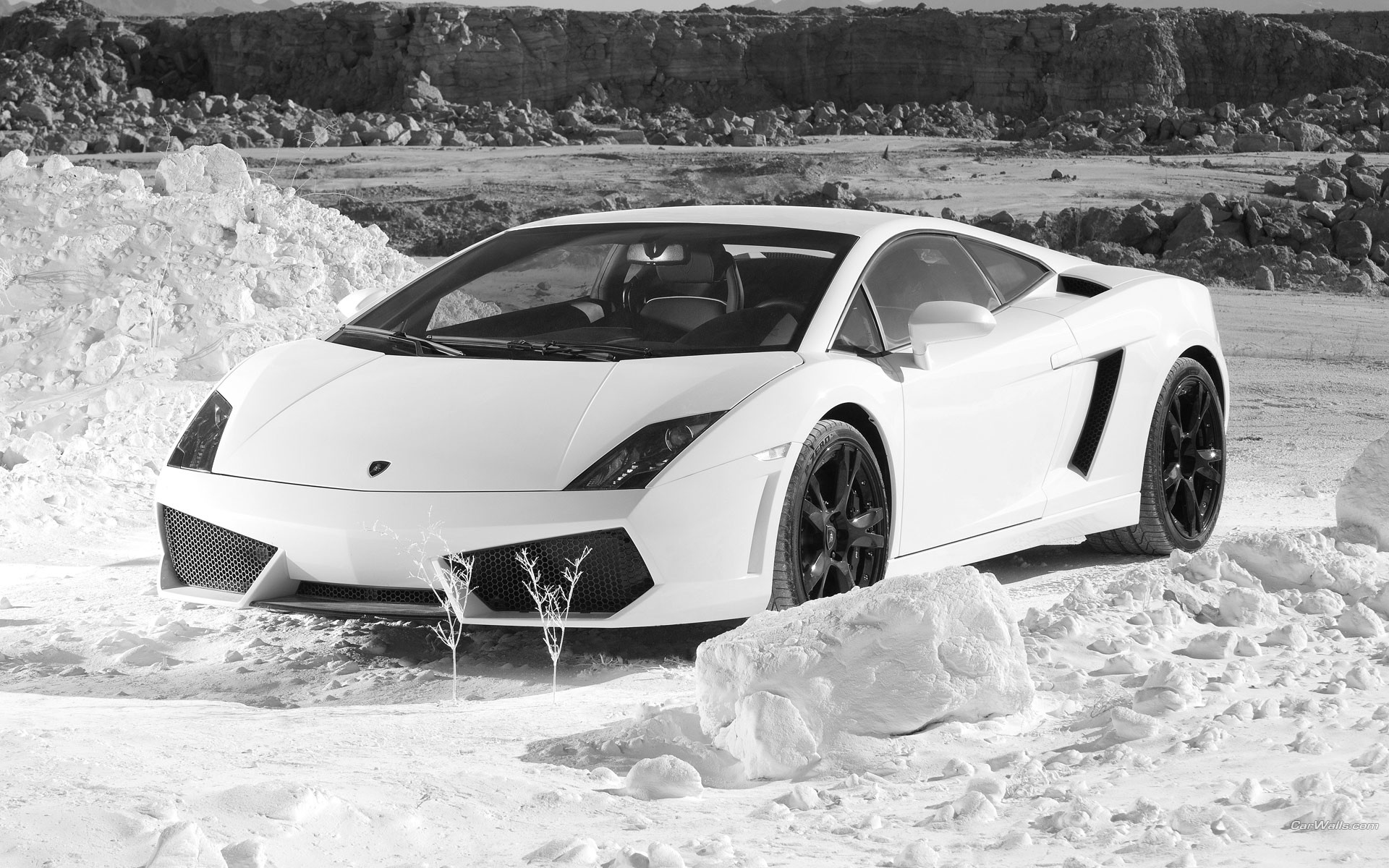 lamborghini nieve coches gallardo