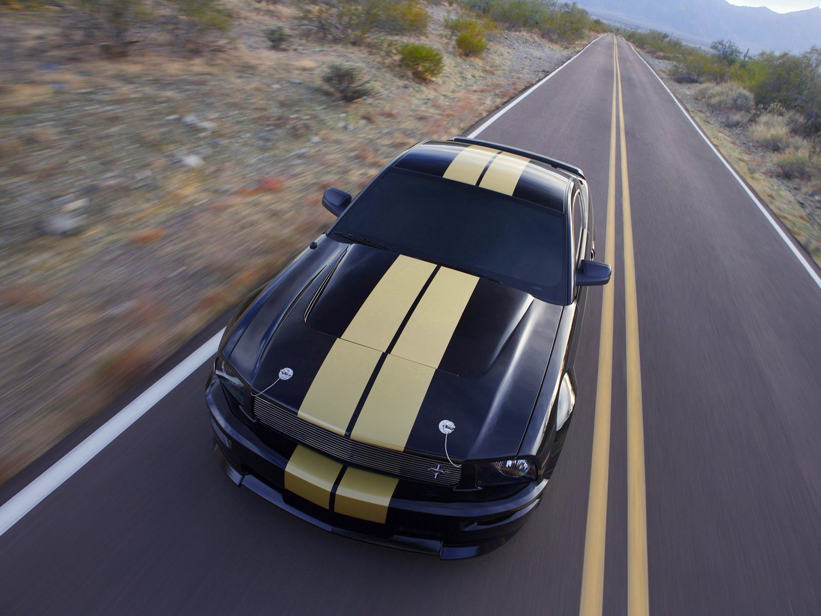 ford mustang rayas carretera