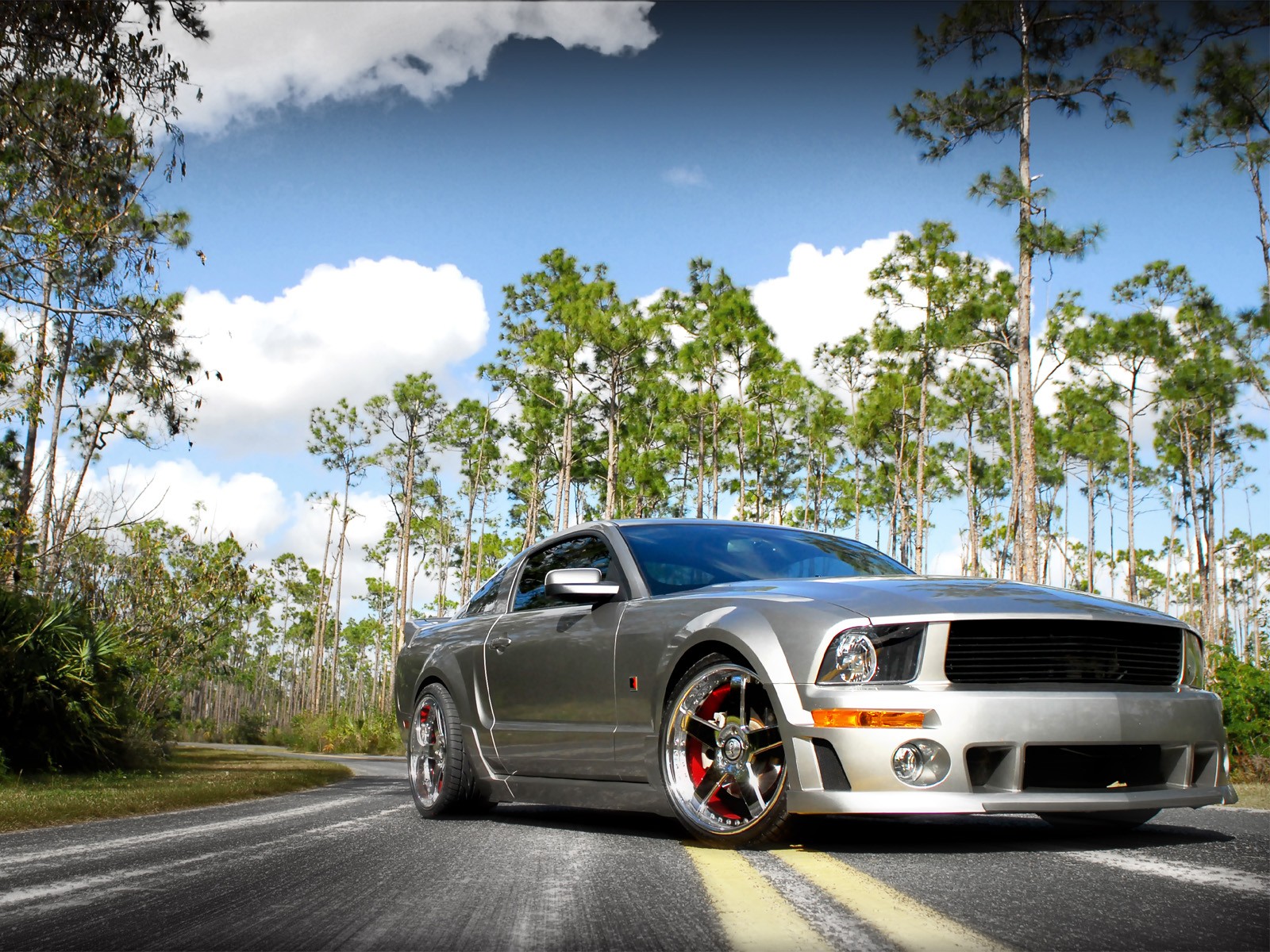 mustang muscolo messa a punto