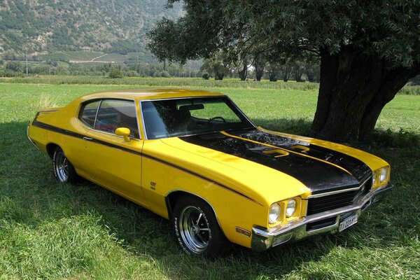 Une Chevrolet jaune puissante dans la nature