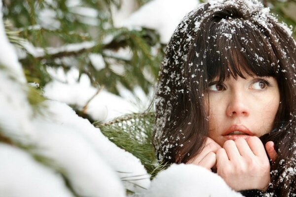 A girl with snow-dusted hair in the middle of a winter forest