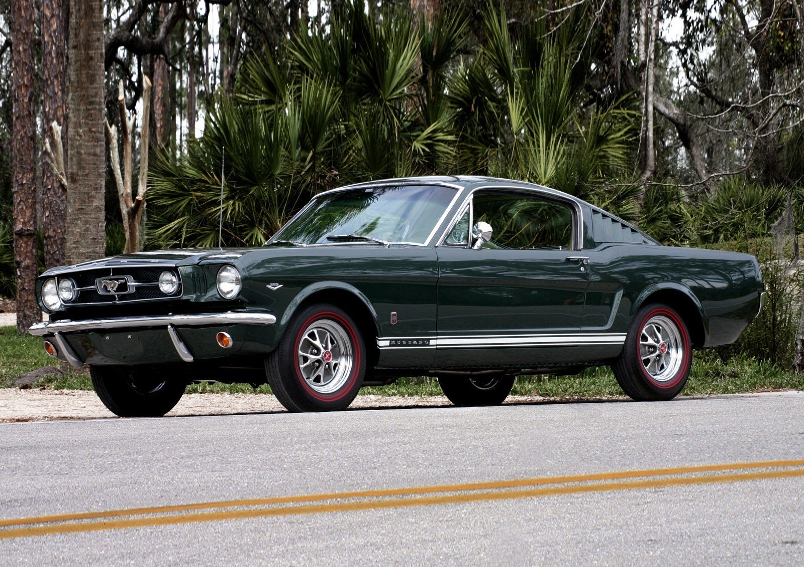 ford mustang fastback