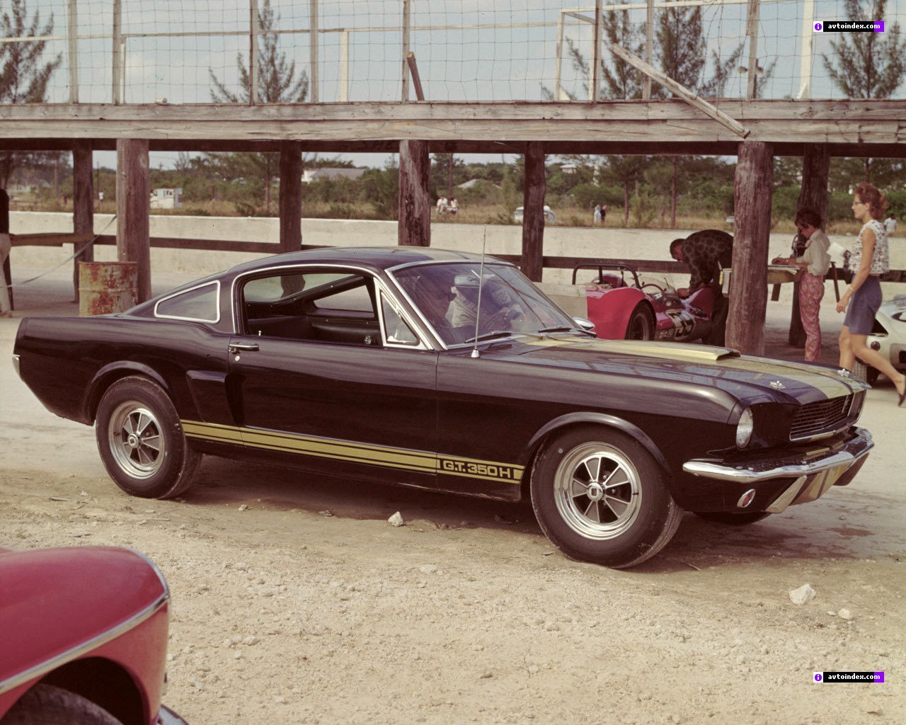 mustang gt350 shelby