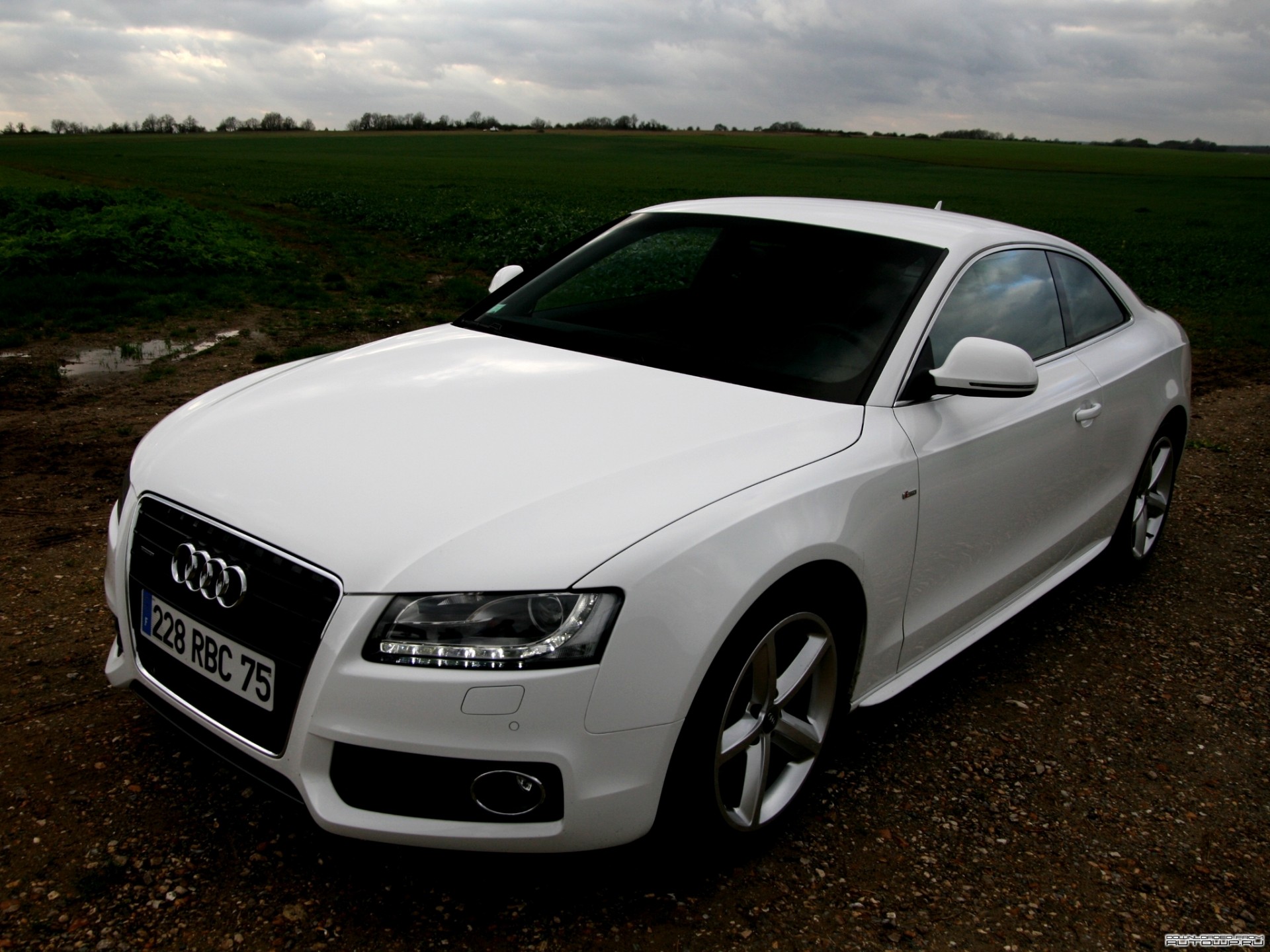 audi a5 quattro coupé audi weiß