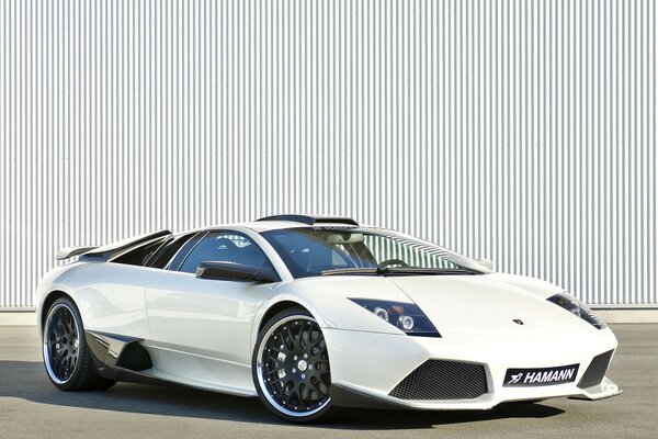 White Lamborghini car for viewing