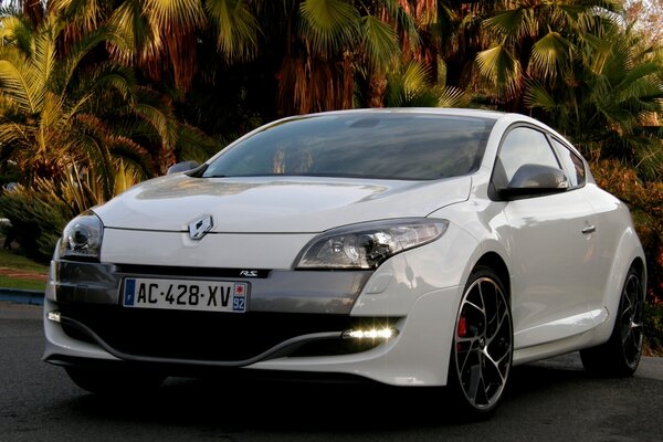 Voiture blanche sur fond de buissons